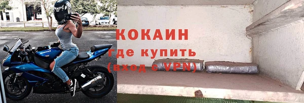 гидра Дедовск