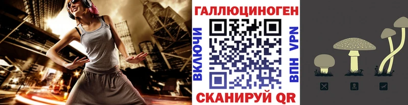 Галлюциногенные грибы Cubensis  Карасук 