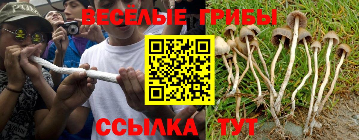 Галлюциногенные грибы Magic Shrooms Карасук