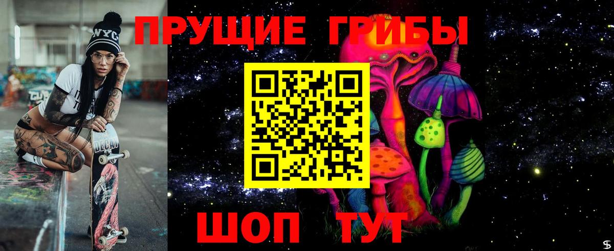 Псилоцибиновые грибы Psilocybe  Вход с VPN  Карасук 